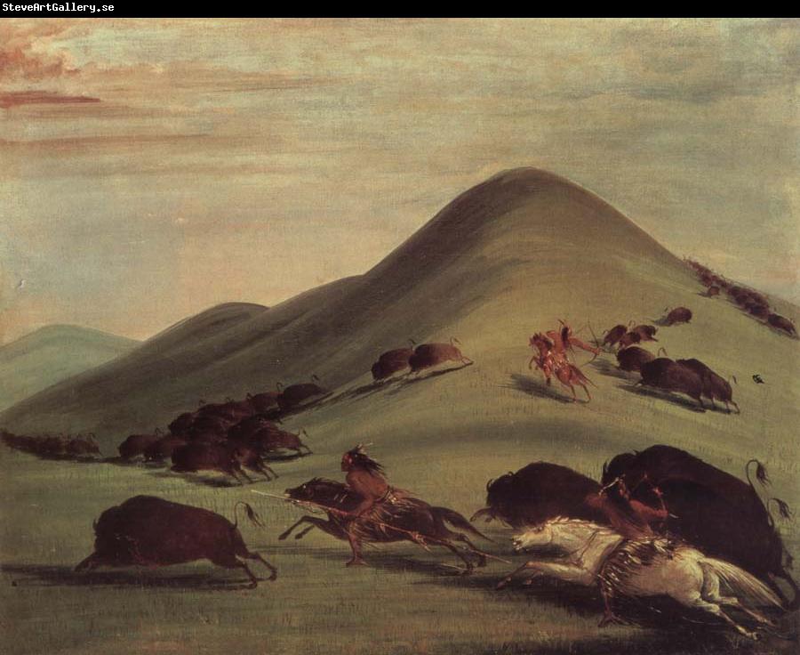 George Catlin Buffalo Chase Over Prairie bark